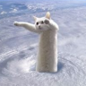 SuperLongCat