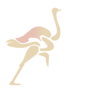 wearostrich